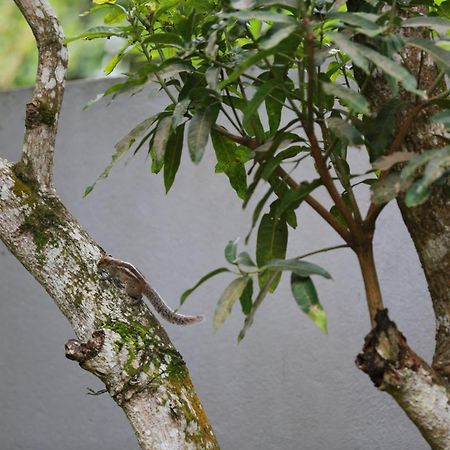 Thambara Villa อูนาวาตูนา ภายนอก รูปภาพ