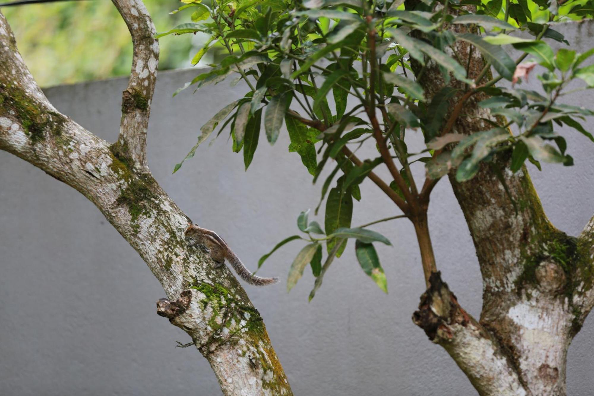 Thambara Villa อูนาวาตูนา ภายนอก รูปภาพ